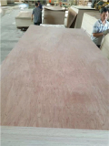 bintangor plywood poplar core E1_E0 glue furniture use